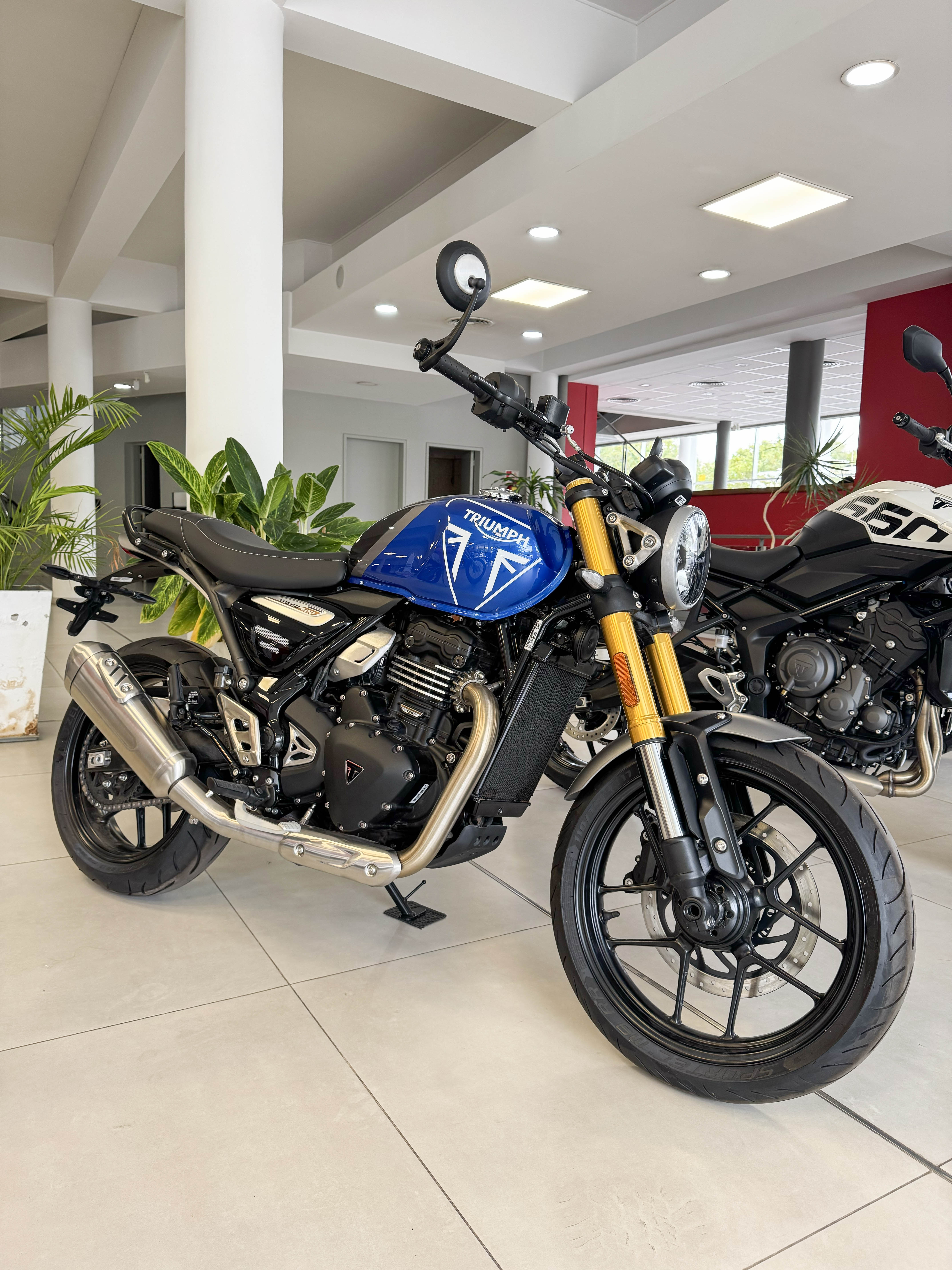 Imagen de Triumph Speed 400